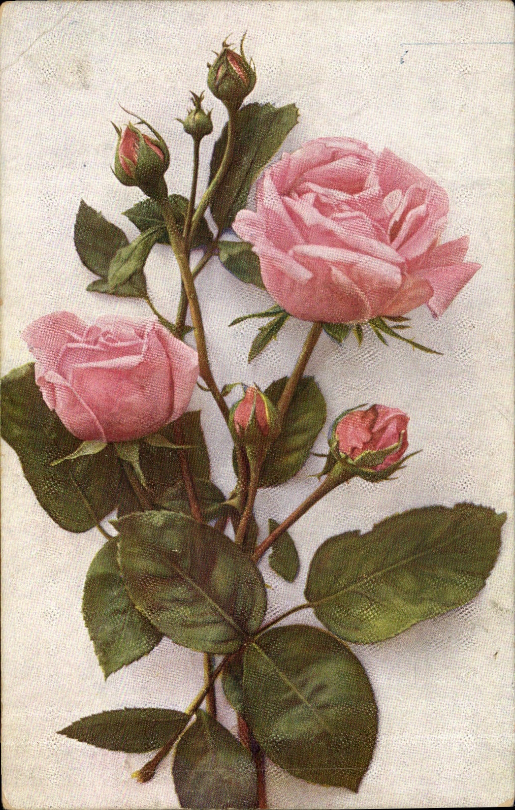 CPA Fantaisie Fleurs 