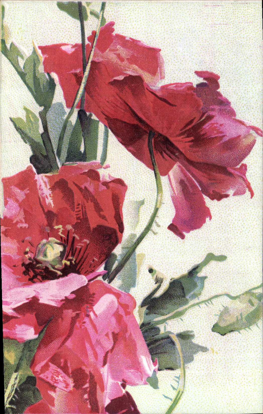 CPA Fantaisie Fleurs 