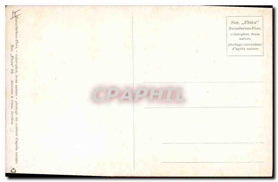 CPA Fantaisie Fleurs  — Rückseite