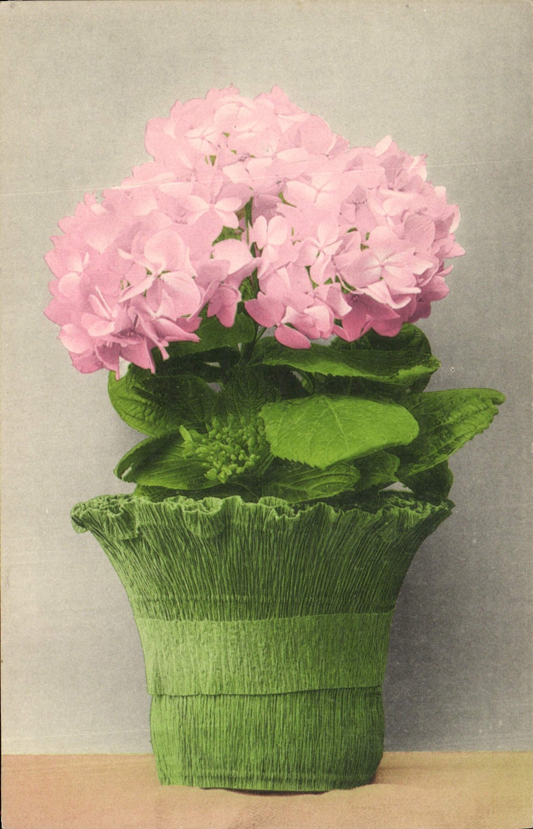 CPA Fantaisie Fleurs 