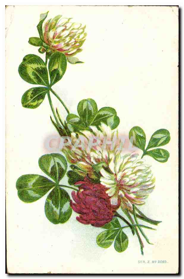 CPA Fantaisie Fleurs 