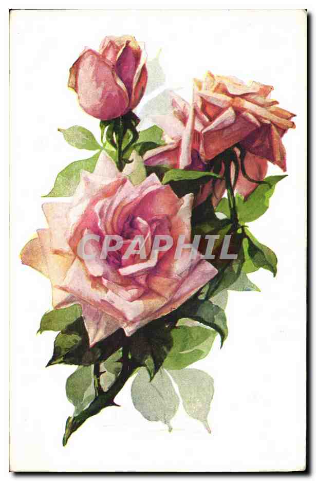 CPA Fantaisie Fleurs 