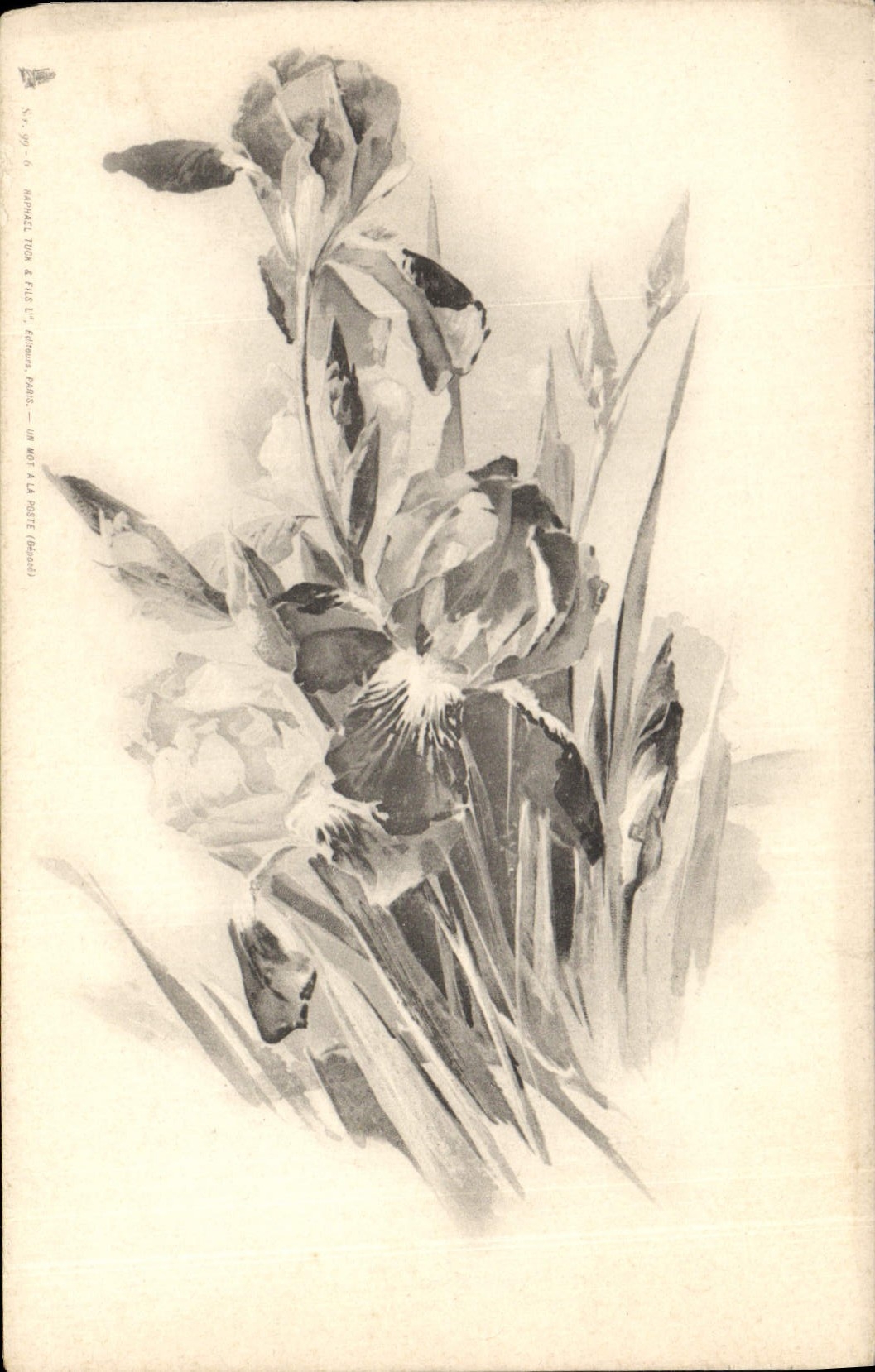 CPA Fantaisie Fleurs 