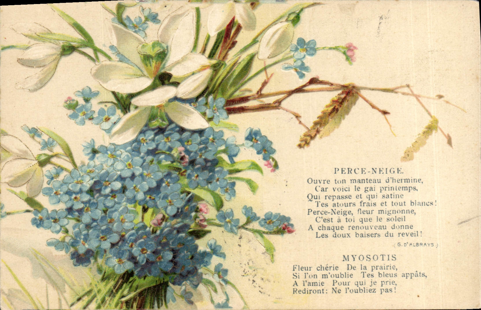 CPA Fantaisie Fleurs Perce Neige Myosotis