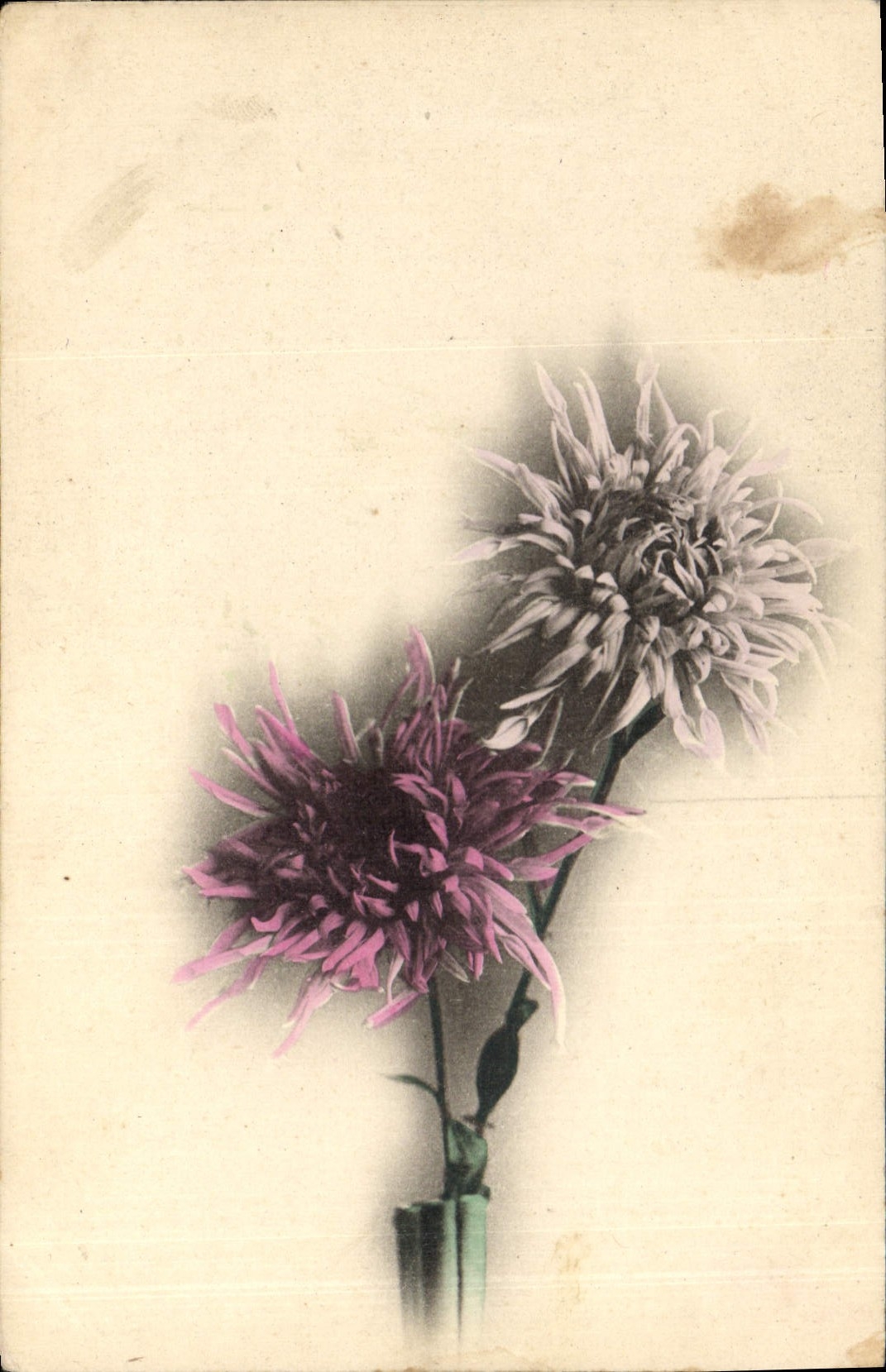 CPA Fantaisie Fleurs 