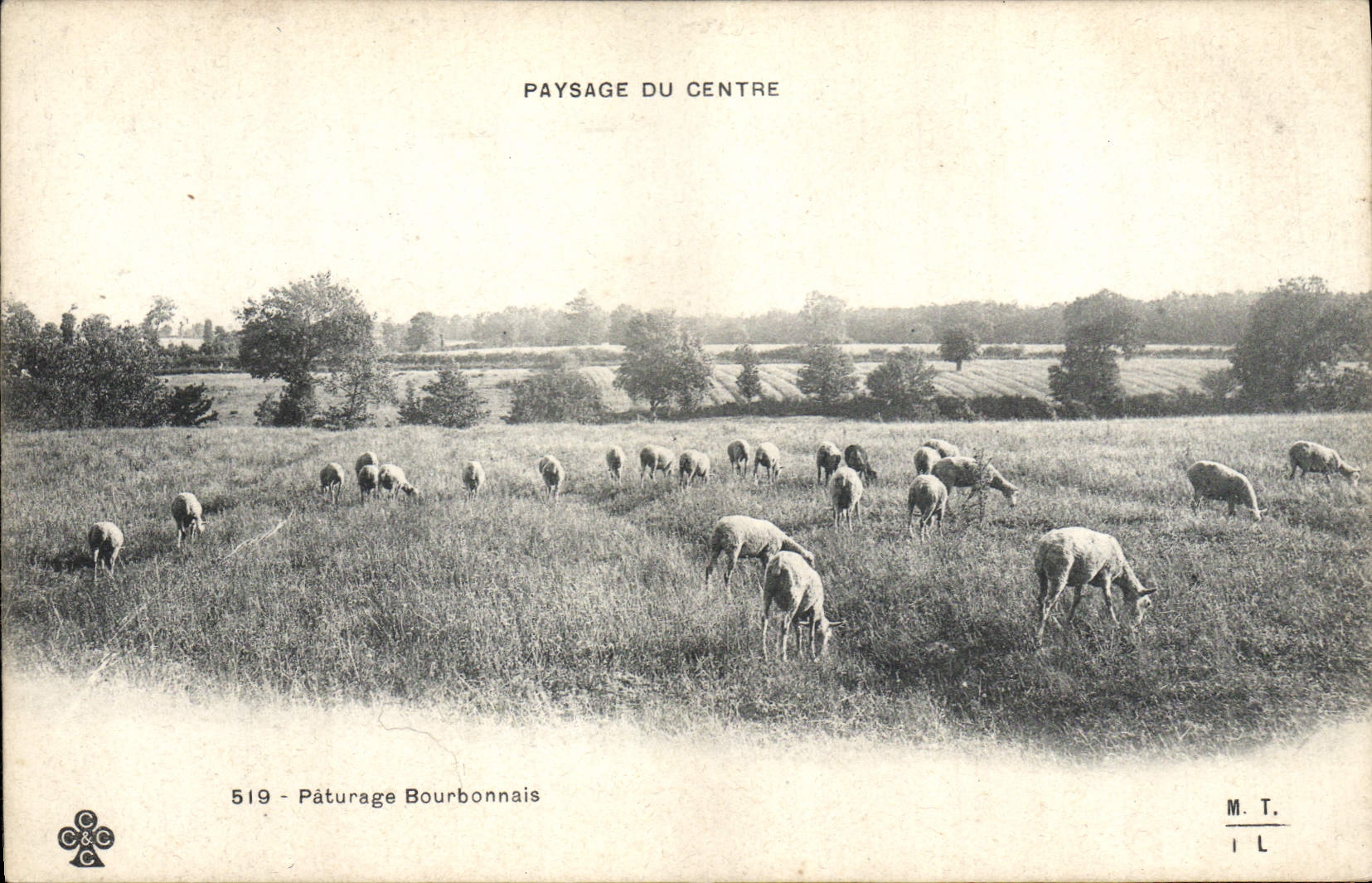 CPA Folklore Paysage du Centre Paturage Bourbonnais Moutons