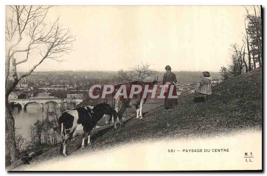 CPA Folklore Paysage du Centre Vaches
