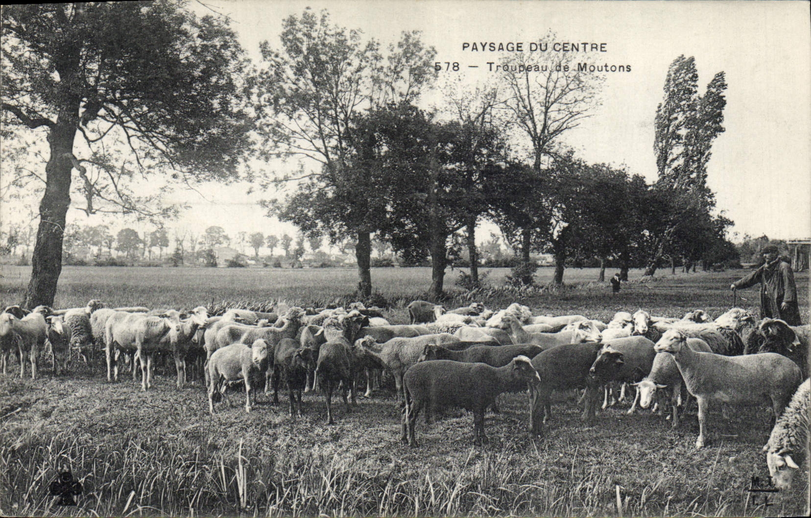 CPA Folklore Paysage du Centre Troupeau de moutons
