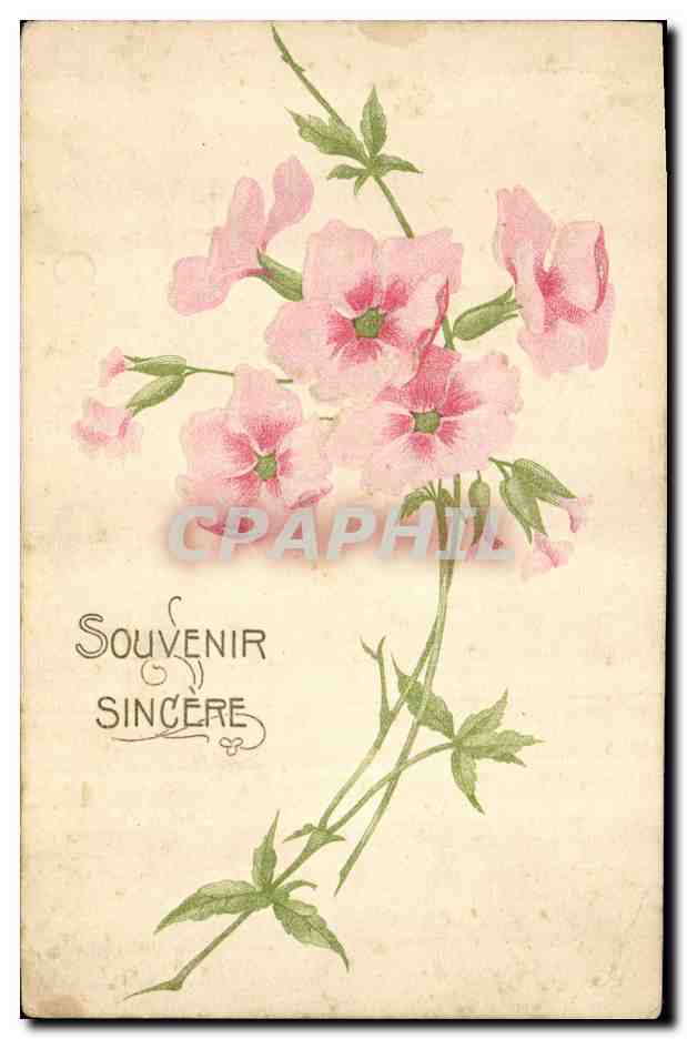 CPA Fantaisie Fleurs 