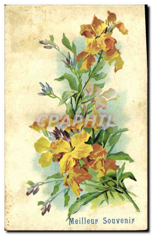 CPA Fantaisie Fleurs 