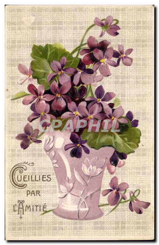 Violets dans un vase — CUEILLIES PAR L'AMITIÉ — éditeur non visible