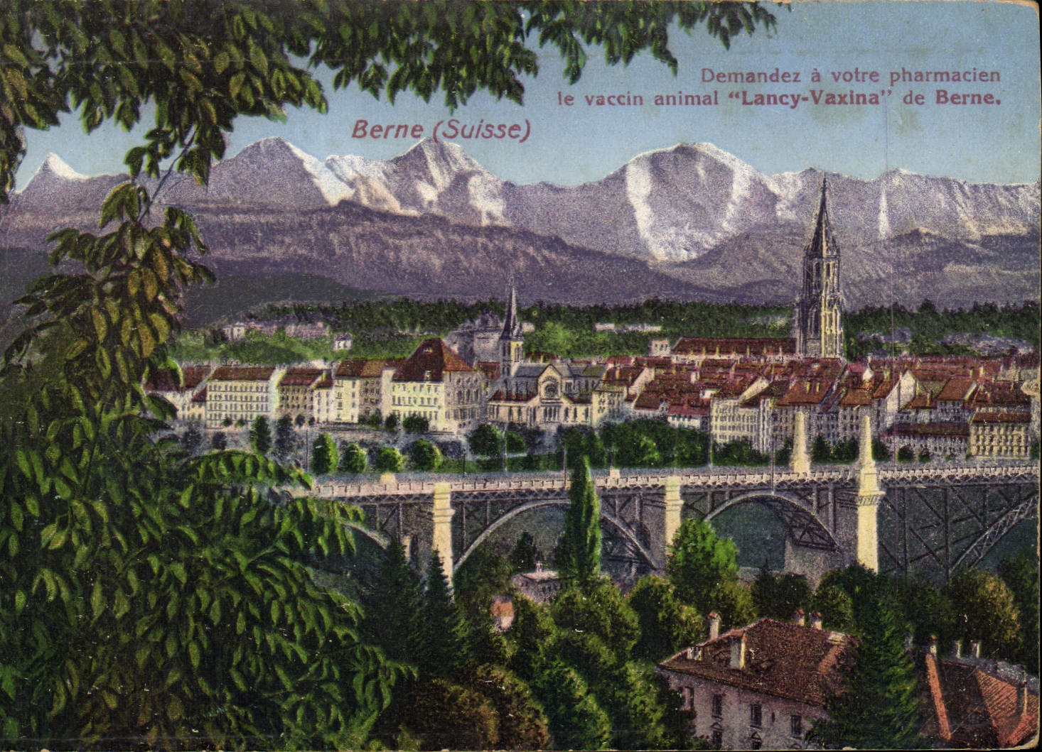 CPA Publicite Institut vacinal Suisse Berne Lancy Vaxina 