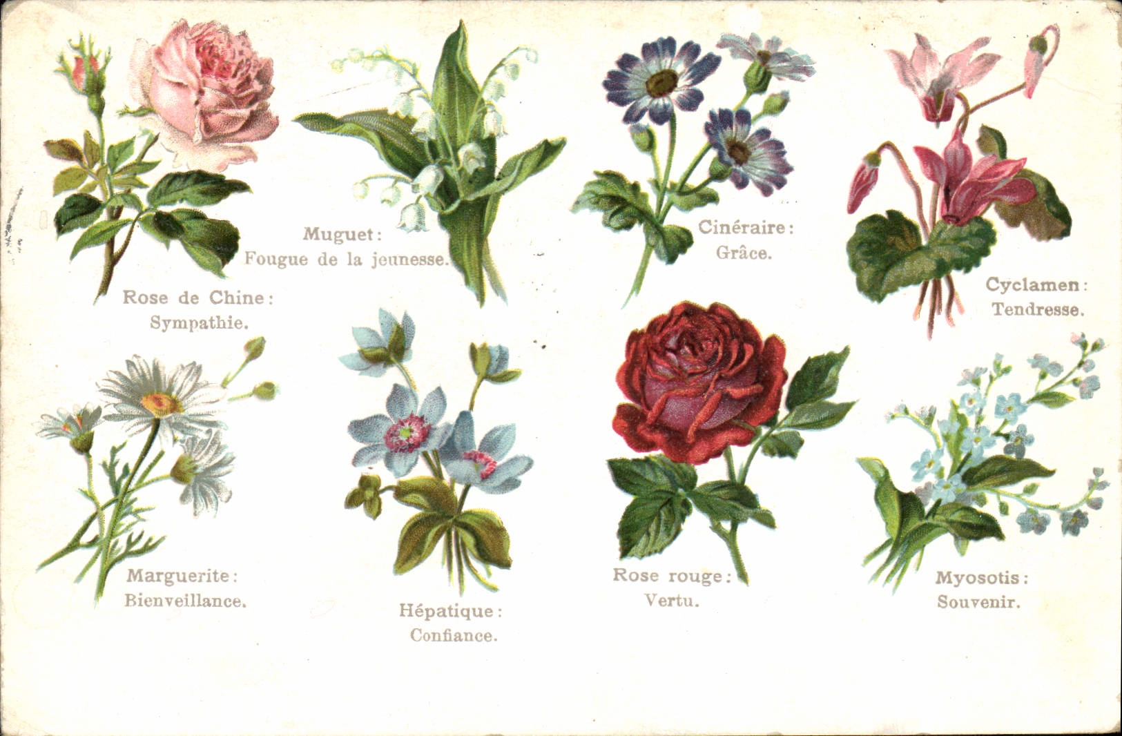 CPA Fantaisie Fleurs 