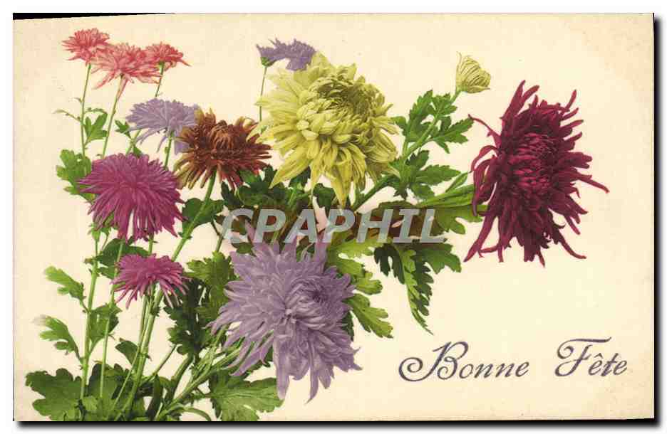 CPA Fantaisie Fleurs 