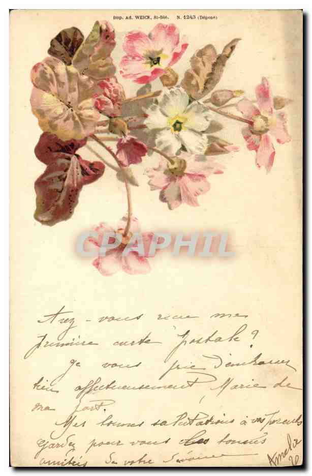 CPA Fantaisie Fleurs 