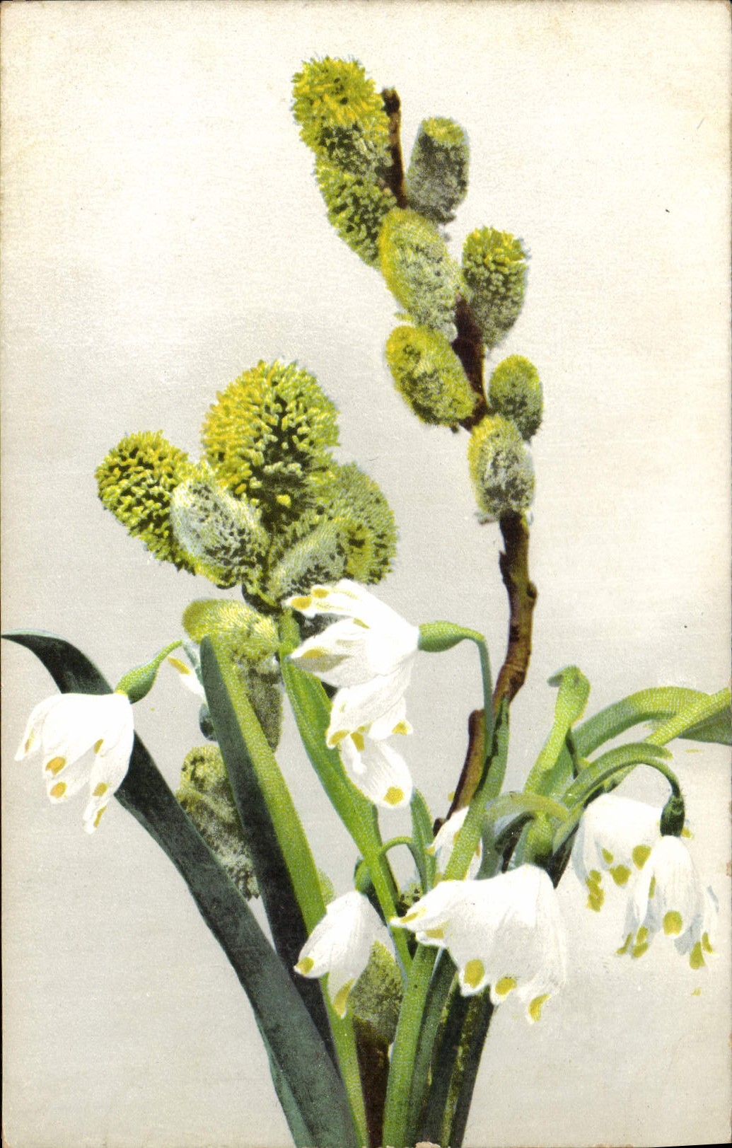 CPA Fantaisie Fleurs 