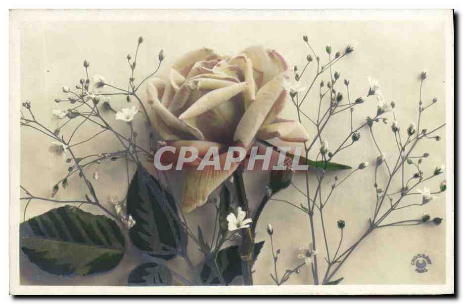 CPA Fantaisie Fleurs 