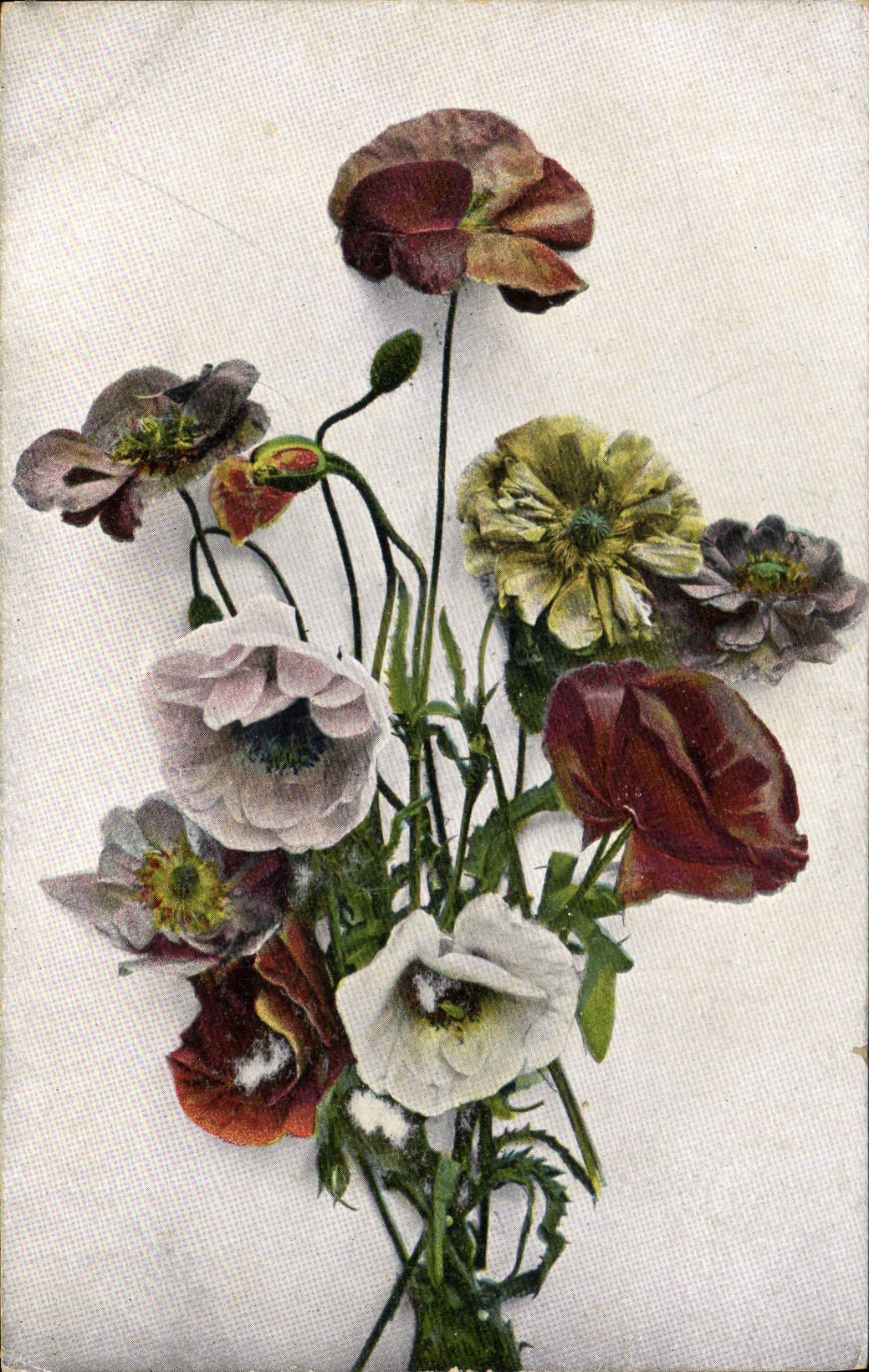 CPA Fantaisie Fleurs 