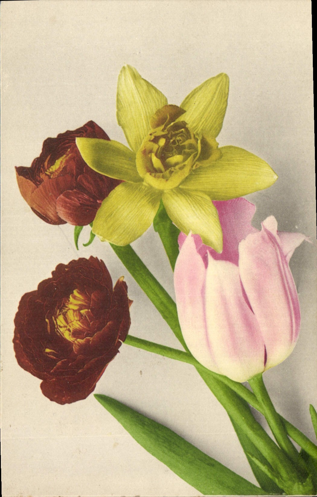 CPA Fantaisie Fleurs 