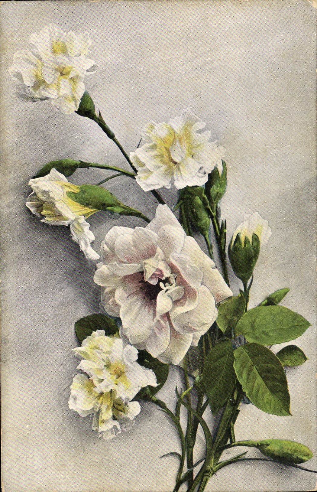 CPA Fantaisie Fleurs 