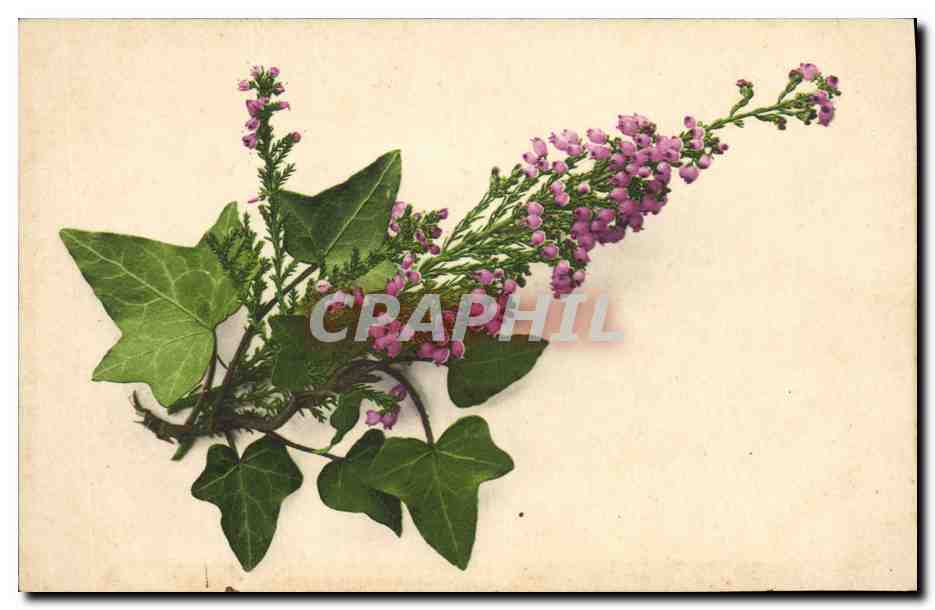 CPA Fantaisie Fleurs 