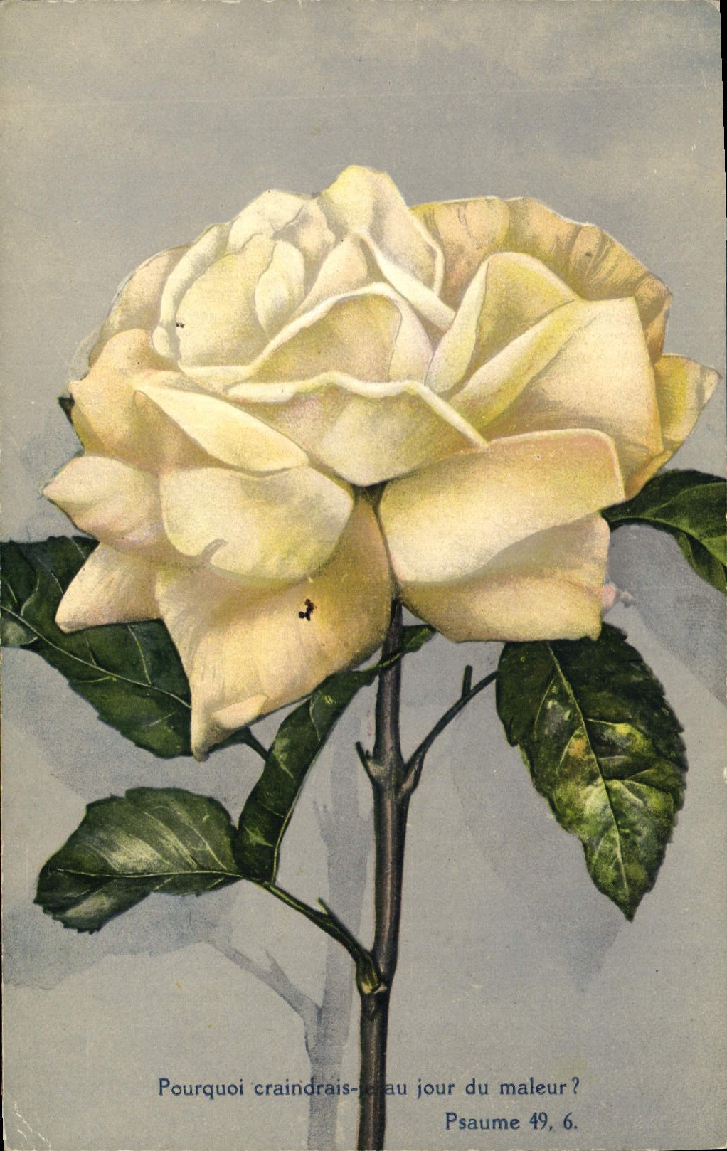 CPA Fantaisie Fleurs 