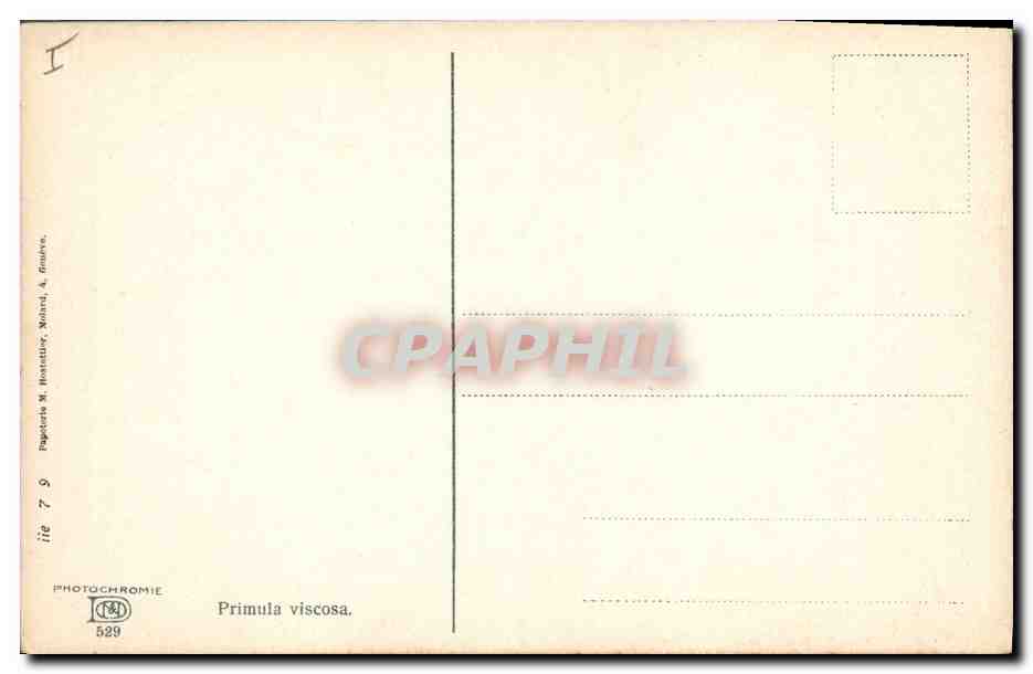 CPA Fantaisie Fleurs  — Verso