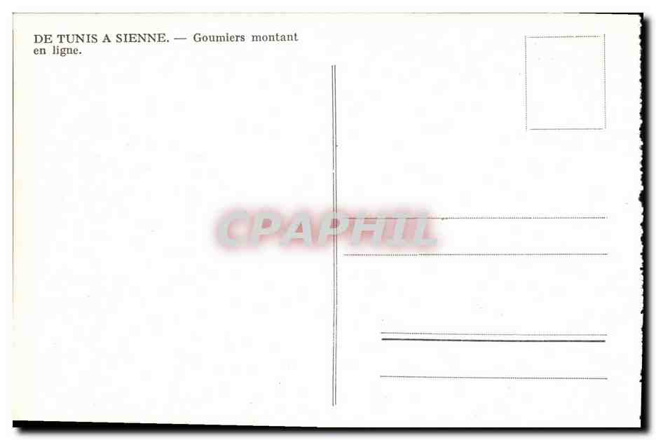 Goumiers montant en ligne — De Tunis à Sienne — Verso