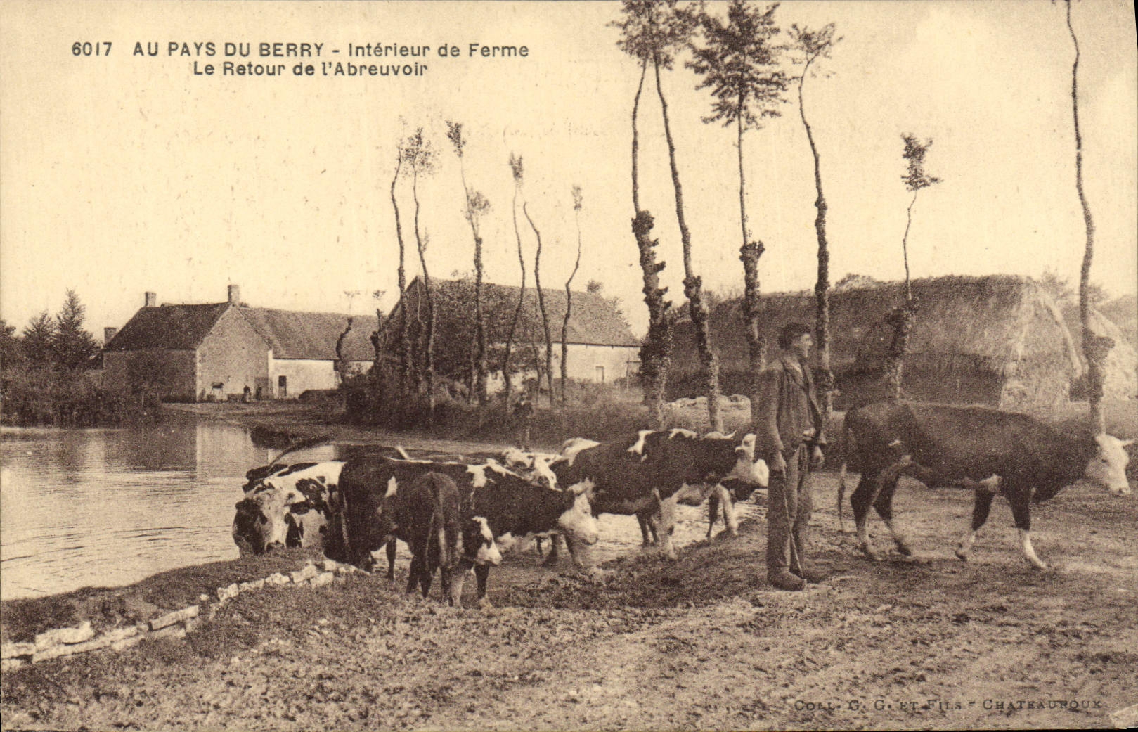 CPA Folklore Au pays du Berry Interieur de ferme Le retour de l'abreuvoir Vaches