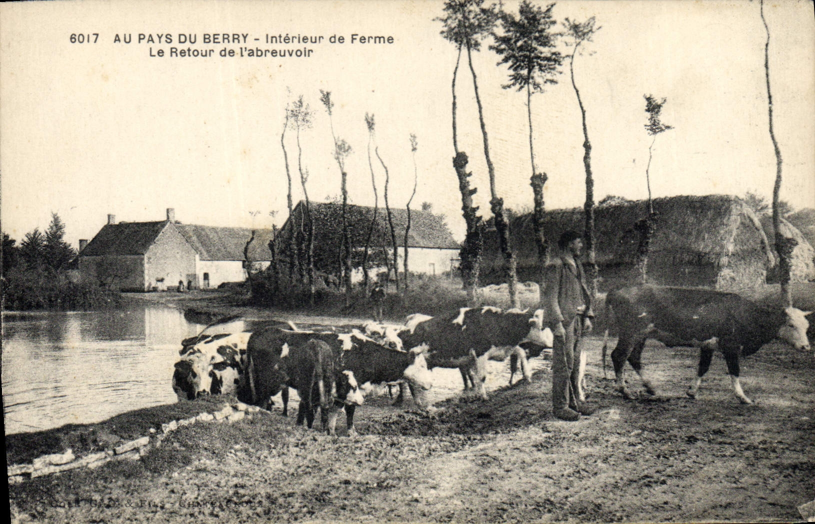 CPA Folklore Au pays dy Berry Interieur de ferme Le retour de l'abreuvoir Vaches