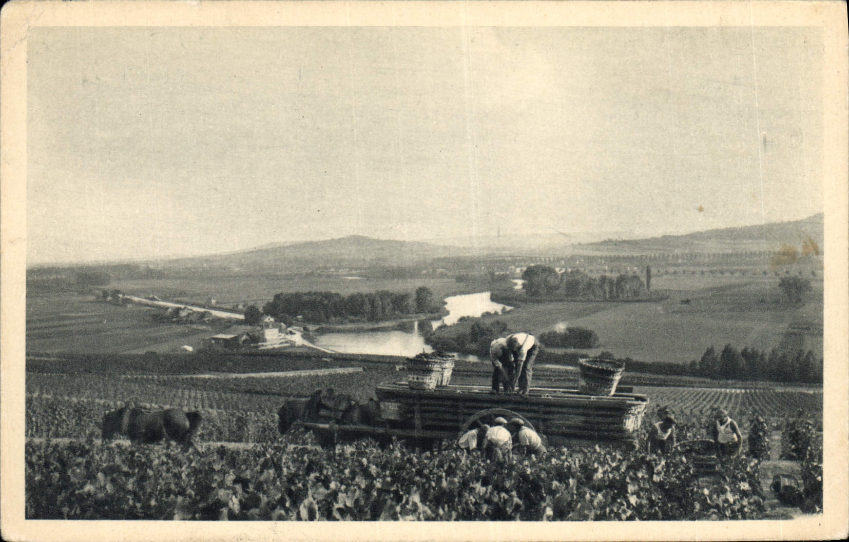 CPA Folklore Vin Vendange Champagne Moet & Chandon Scene de vendange a Hautvillers