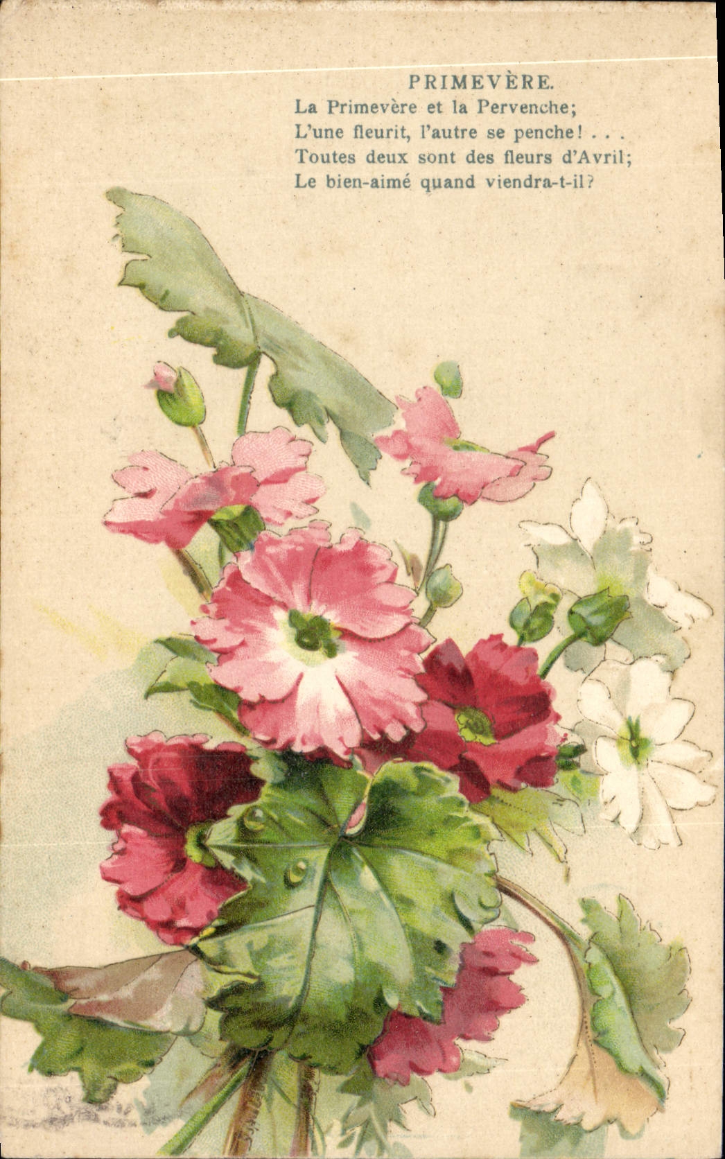 CPA Fantaisie Fleurs Primevere