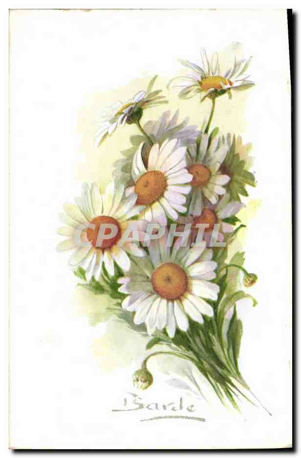 CPA Fantaisie Fleurs 