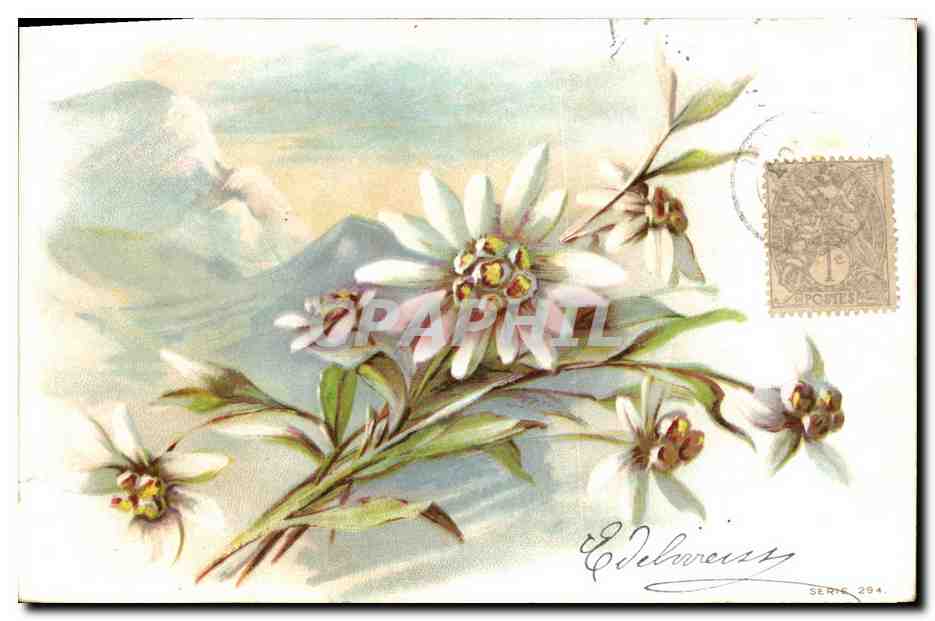 CPA Fantaisie Fleurs 