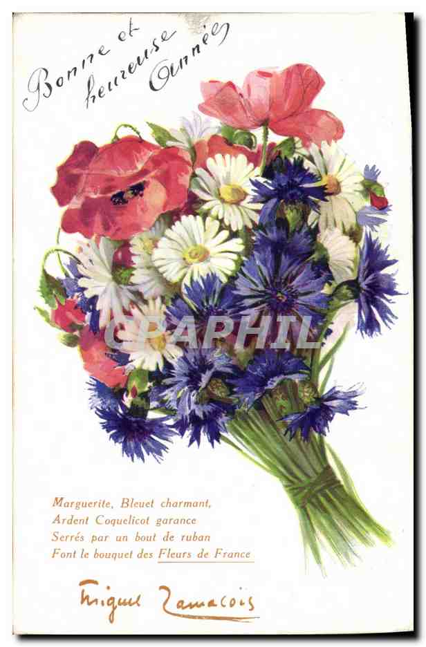 CPA Fantaisie Fleurs 