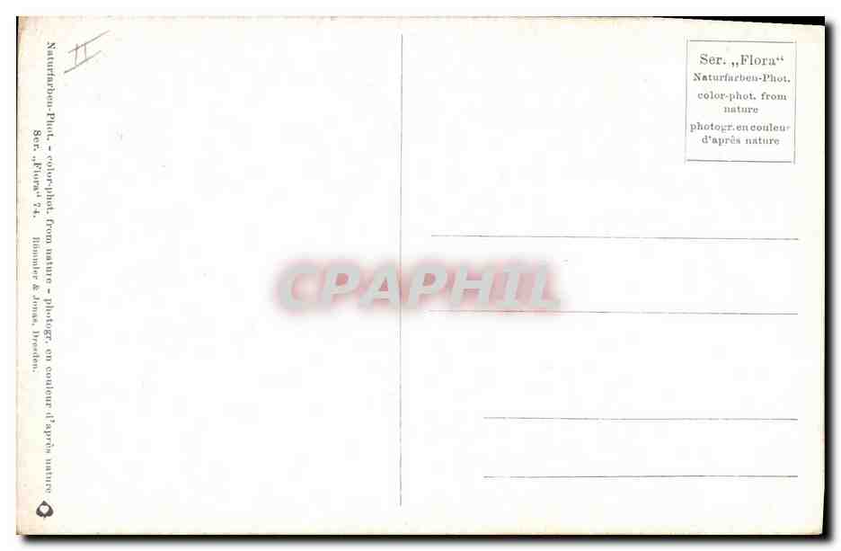 CPA Fantaisie Fleurs  — Rückseite