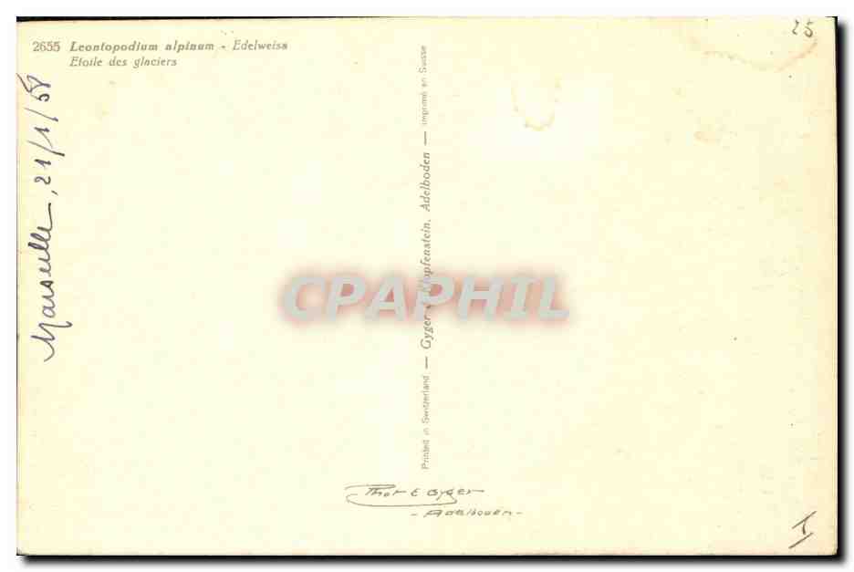 CPA Fantaisie Fleurs  — Back