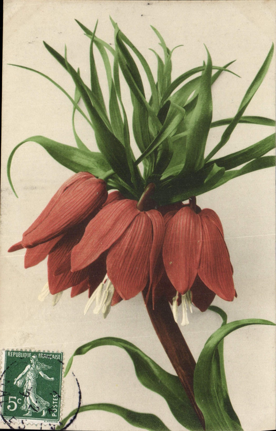 CPA Fantaisie Fleurs 