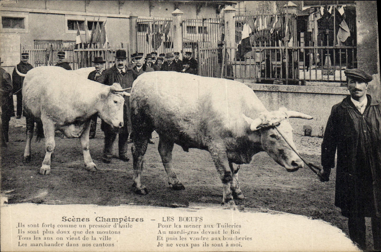 Les Bœufs — Scènes Champêtres — Éditeur non identifié