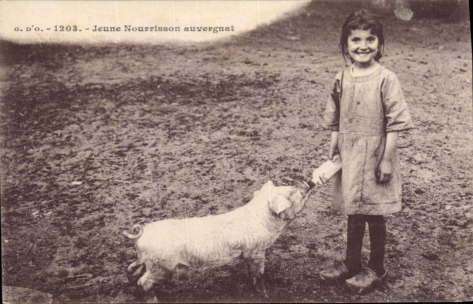 CPA Folklore Jeune Nourrisson Auvergnat Enfant Cochon Porc