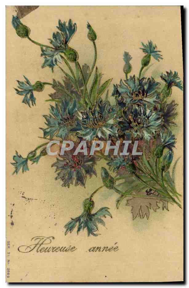 CPA Fantaisie Fleurs 