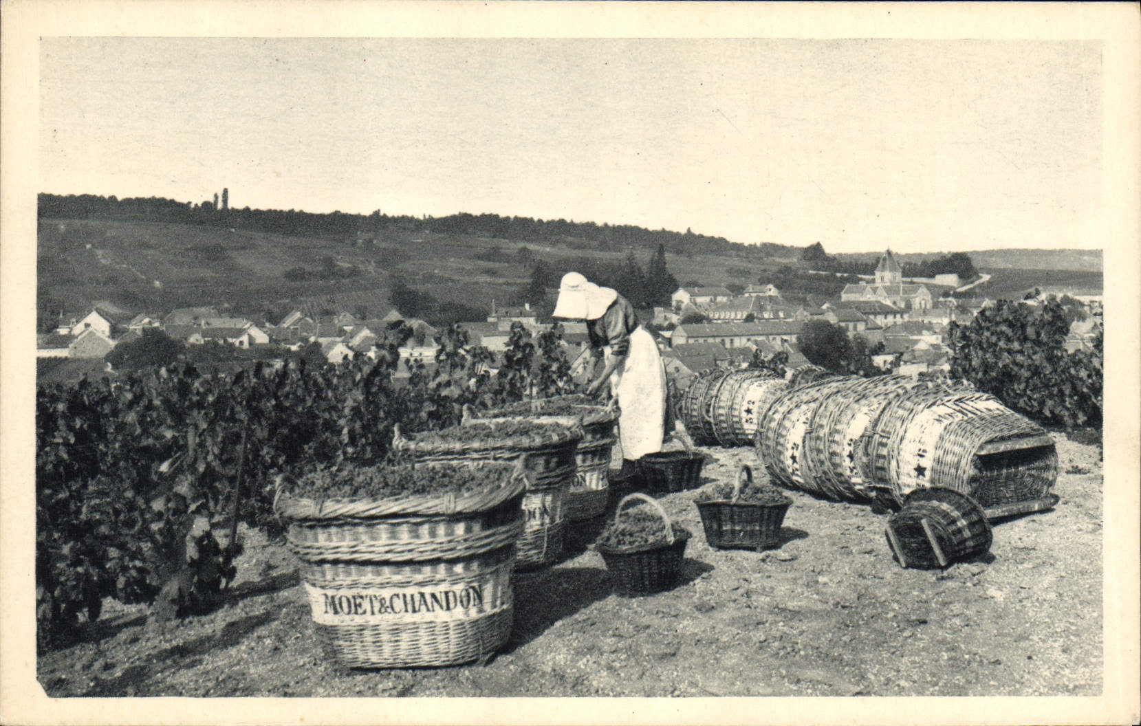 CPA Folklore Vin Vendange Champagne Moet a Chandon Scene de vendange au Mesnil sur Oger