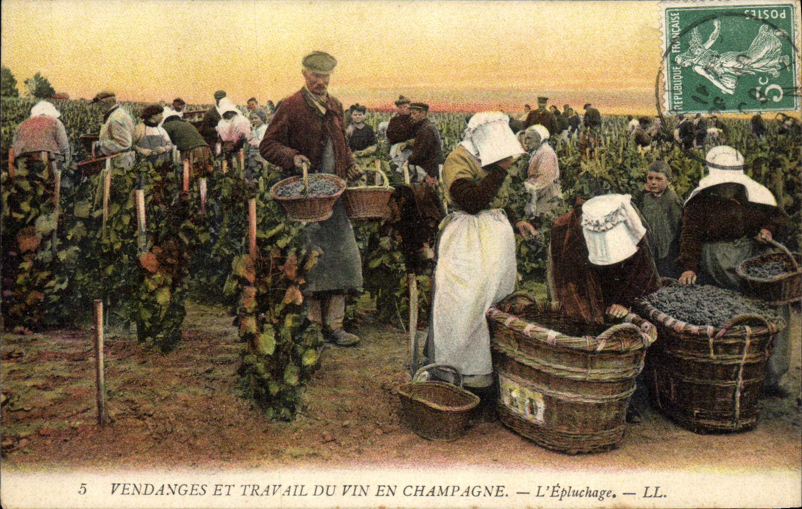 CPA Folklore Vin Vendange Champagne Travail du vin l'epluchage TOP