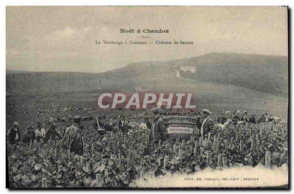 CPA Folklore Vin Vendange Champagne Moet & Chandon La vendange a Cramant Cahteau de Saaran