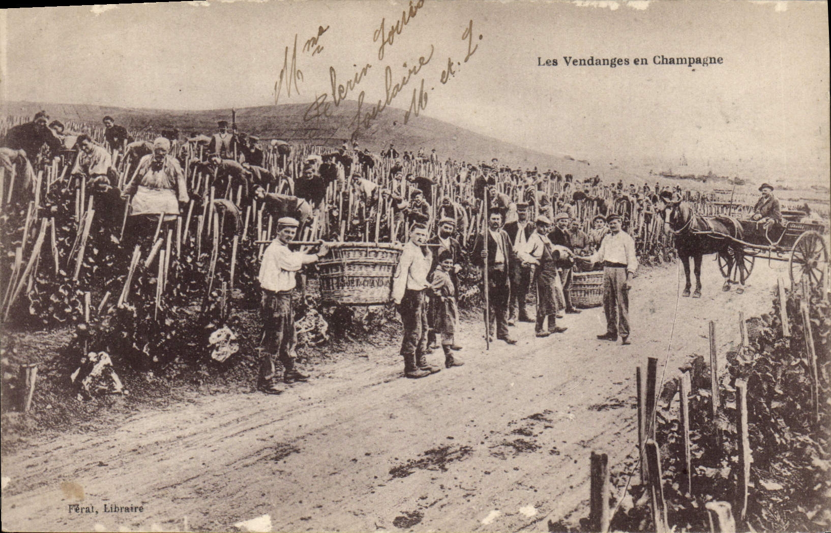 CPA Folklore Vin Vendange Champagne 