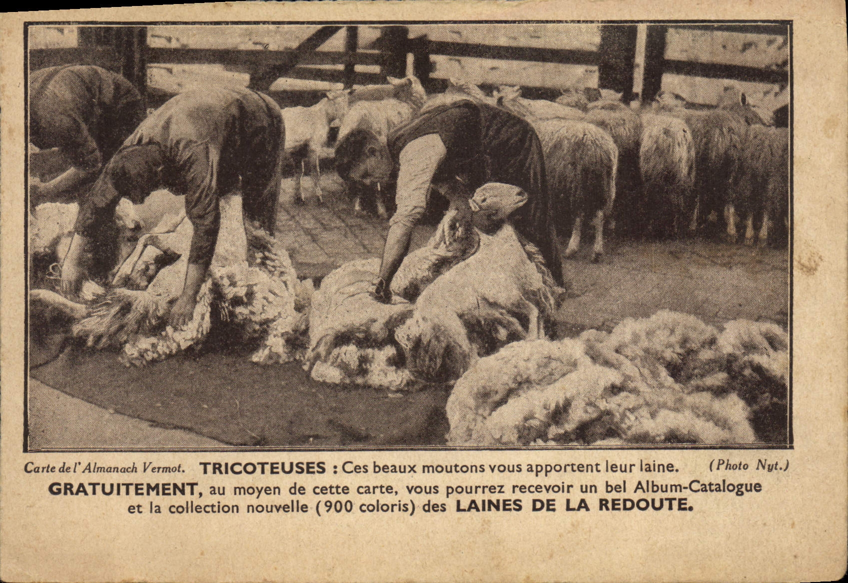 CPA Publicite Tricoteuses Moutons Laines de la Redoute 