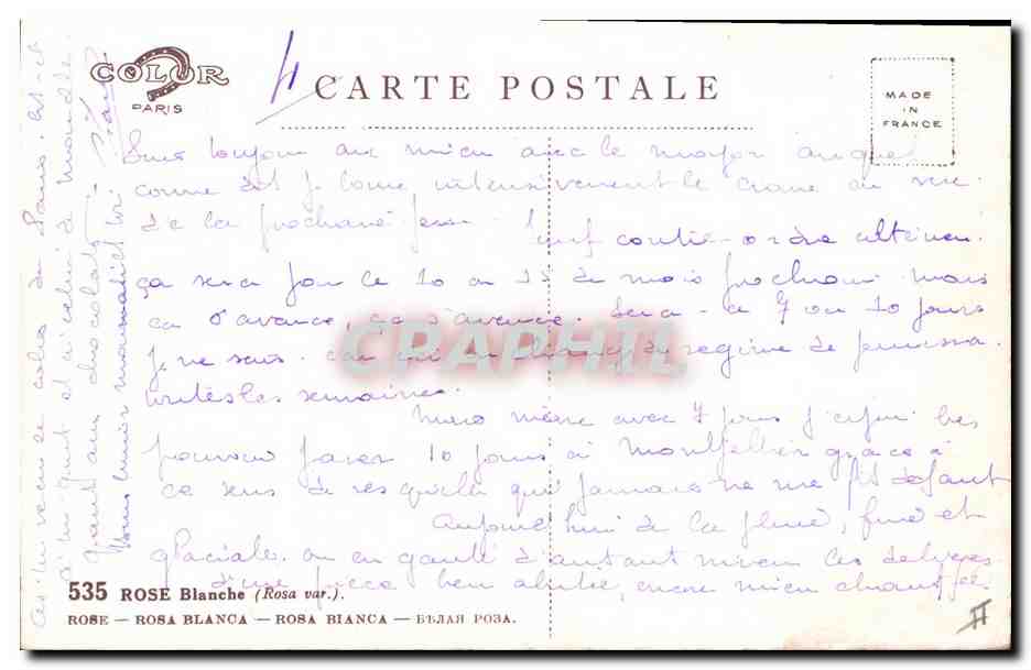 CPA Fantaisie Fleurs  — Back