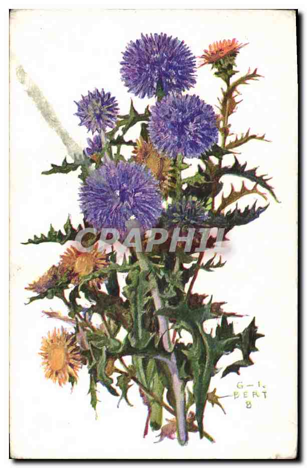 CPA Fantaisie Fleurs 