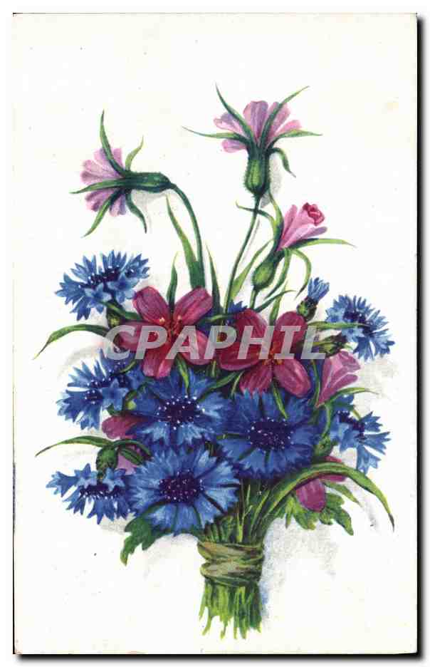 CPA Fantaisie Fleurs 