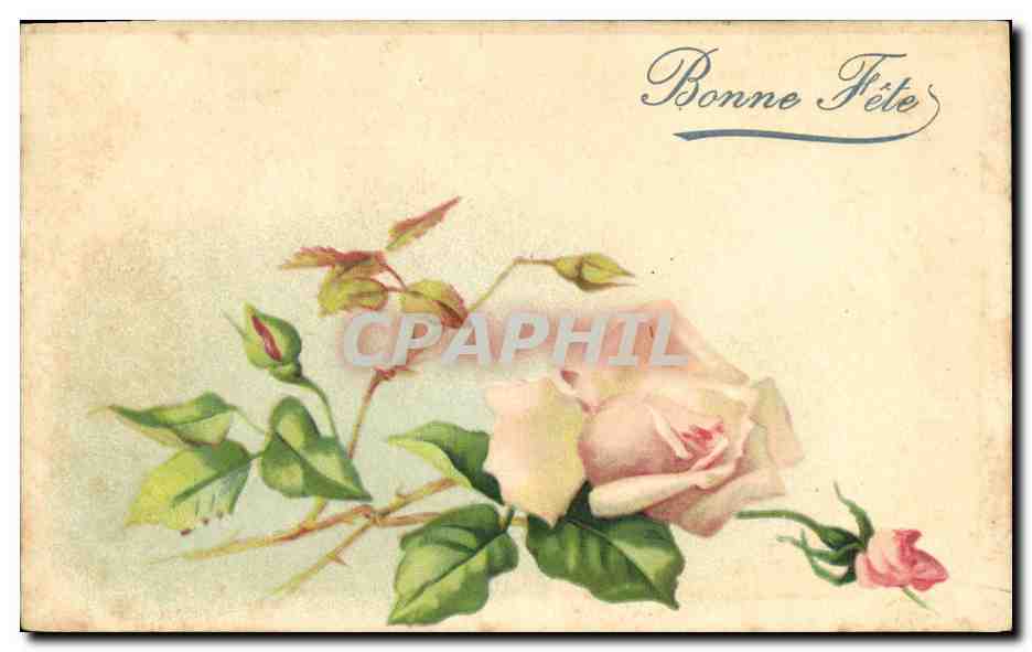 CPA Fantaisie Fleurs 